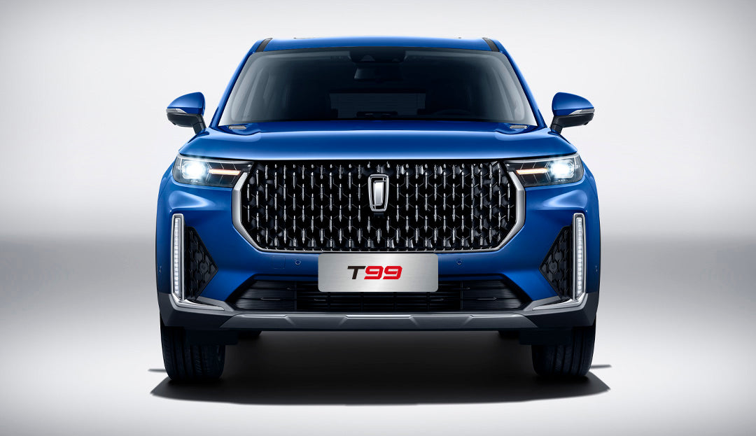 فحمات فرامل فاو بيستون خلفية FAW T99